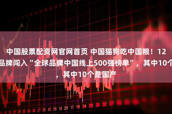 中国股票配资网官网首页 中国猫狗吃中国粮！12个宠物品牌闯入“全球品牌中国线上500强榜单”，其中10个是国产